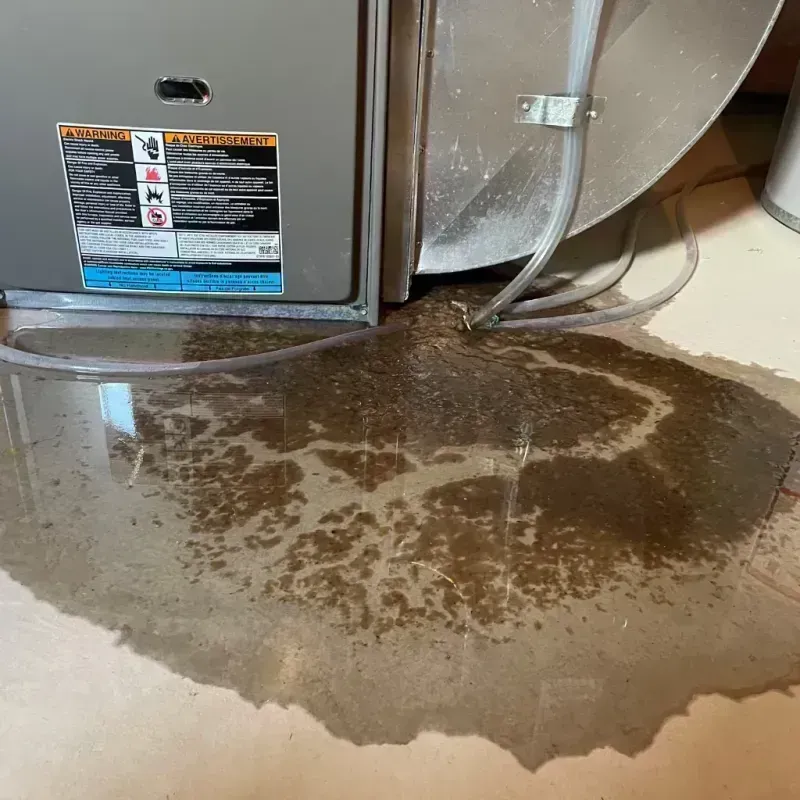 Appliance Leak Cleanup in Walla Walla County, WA